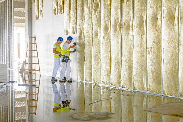 Professional Insulation Contractor in Millersburg, OR